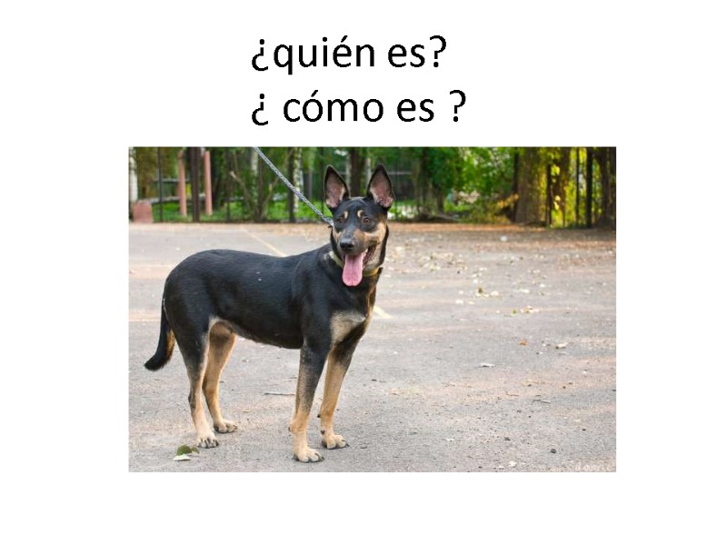 ¿quién es? ¿ cómo es ?